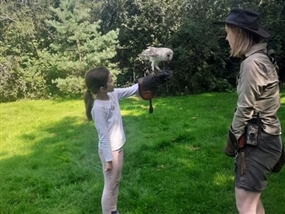 Customer Photo of Birds of Prey Horsham West Sussex